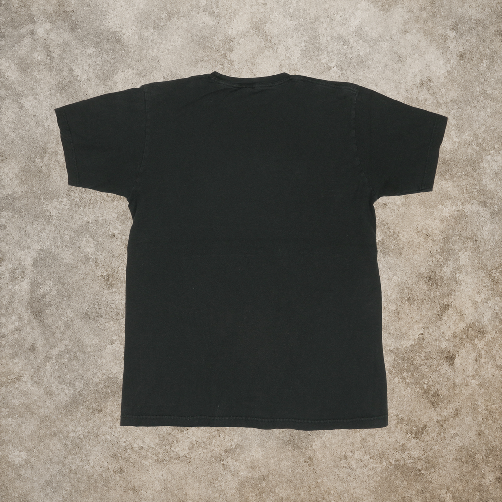 PANTERA DOMINATION GRAPHIC TEE